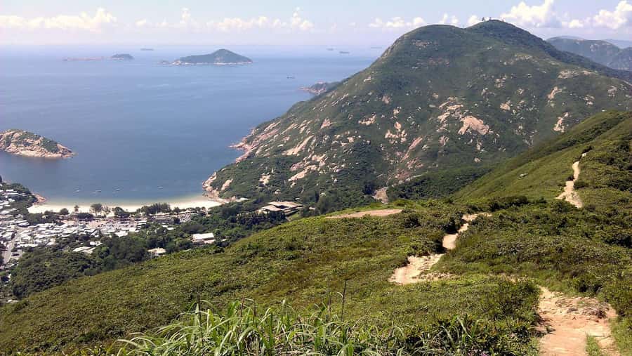 Hong Kong: Dragon's Back Hike - Shau Kei Wan wet market stop: a real peek at daily Hong Kong life