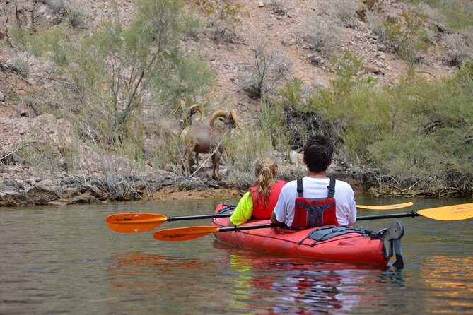 Hoover Dam & Hot Springs Kayak Tour with Lunch & Expert Guide - The paddle plan: 12 miles of flat water that still demands effort