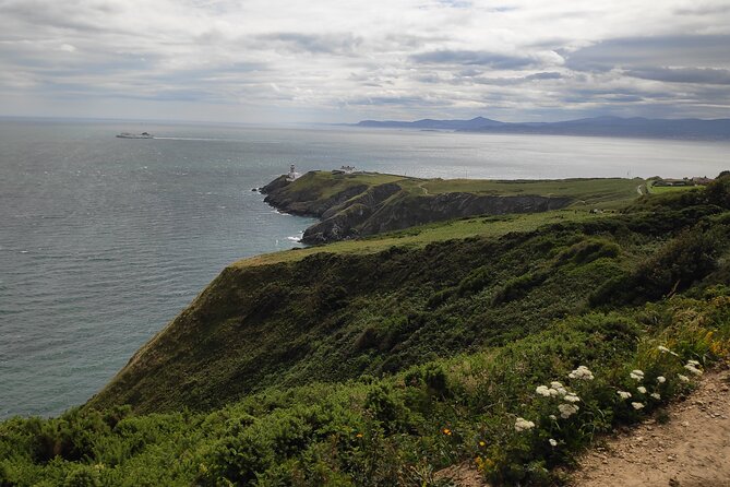 Howth Hiking Trail from Dublin: Mythology and Legend - The fishing port start: seals, salt air, and a slower first step