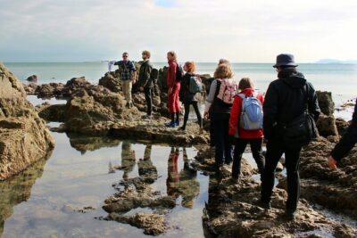 Howth Safari Hiking Tour - The rhythm of the hike: from Bog of the Frogs to Shielmartin Hill views