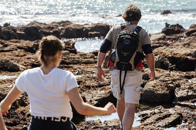 Howth Safari Hiking Tour - Doldrum Beach and Red Rock: quiet coast time before the lighthouse climb