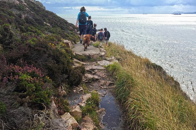 Howth Safari Hiking Tour - Price and value: what $71.38 buys you here