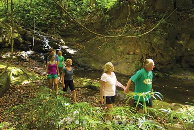 Huleia River Hidden Valley Falls Kayak & Hike - The powered canoe return: why the motorized part is a gift