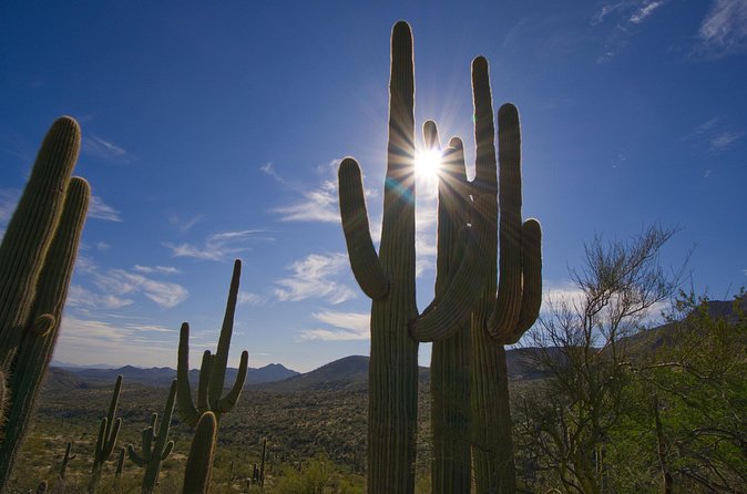 Iconic Tom's Thumb Guided Hiking Adventure in Scottsdale, Arizona - The switchbacks up to Tom’s Thumb: where effort meets explanation