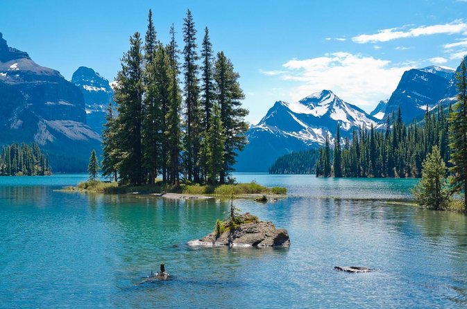 Jasper Wildlife and Sightseeing Tour with Maligne Lake Hike - Key things you’ll notice on this tour