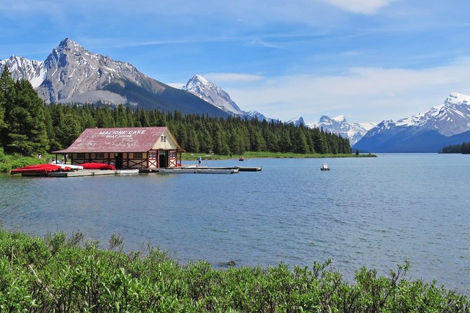Jasper Wildlife and Sightseeing Tour with Maligne Lake Hike - Wildlife Spotting: Common Chances, Real Uncertainty