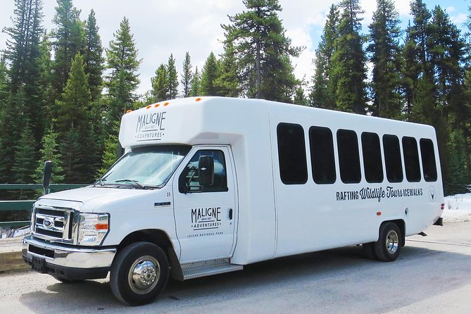 Jasper Wildlife and Sightseeing Tour with Maligne Lake Hike - Group Size, Minibus Comfort, and What That Means for Your Day
