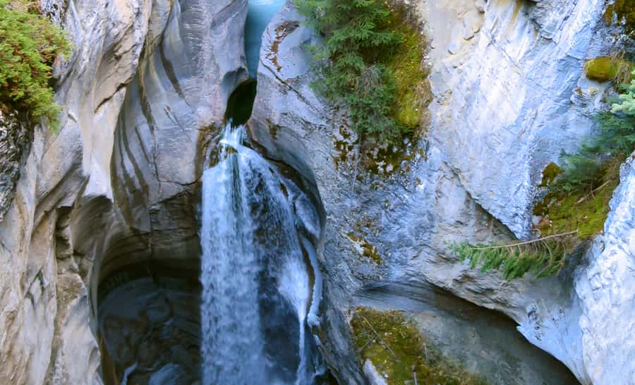 Jasper: Wildlife and Waterfalls Tour with Lakeshore Hike - Quick hits you’ll feel right away