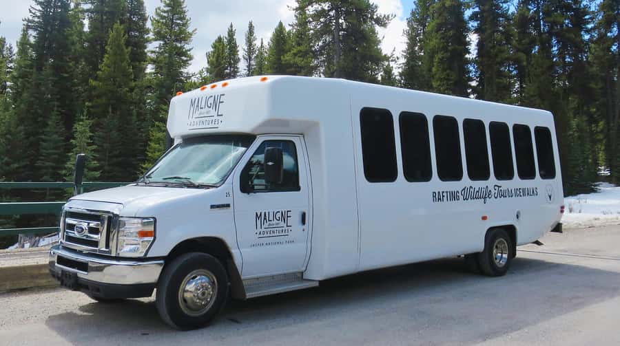 Jasper: Wildlife and Waterfalls Tour with Lakeshore Hike - Maligne Canyon waterfalls: what you’ll see and how the wildfire closure changes things