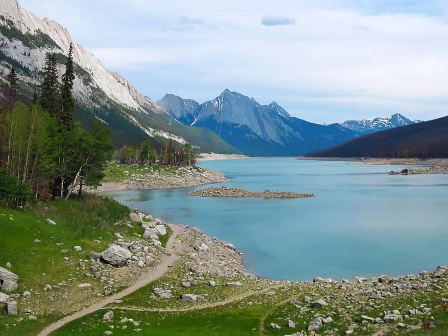 Jasper: Wildlife and Waterfalls Tour with Lakeshore Hike - Price and value: why $77 can still feel like a smart buy