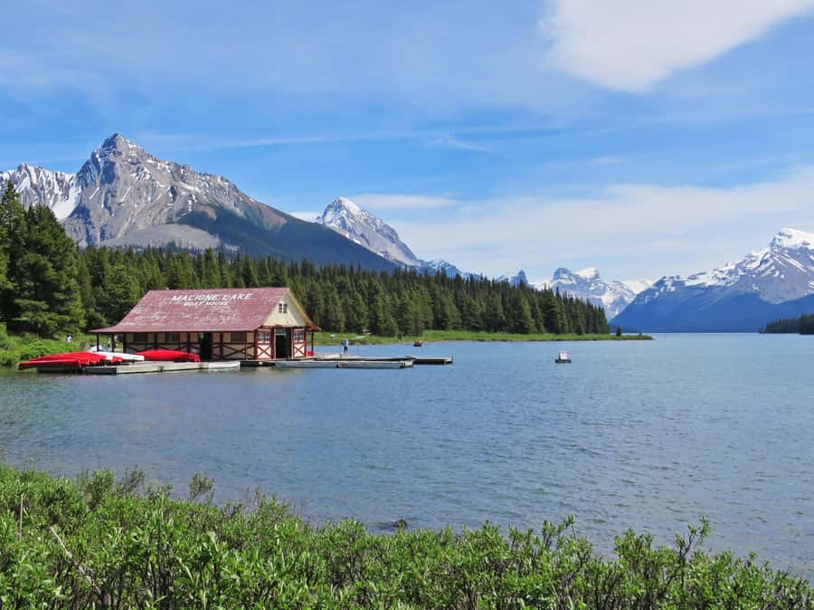 Jasper: Wildlife and Waterfalls Tour with Lakeshore Hike - What to bring for a day that runs in real weather