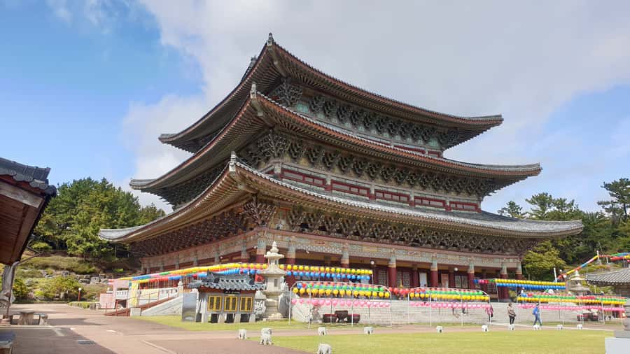 Jeju: Mt. Hallasan Hike and UNESCO Sites Day Tour - Seogwi Dawon and tea time: pure green tea plus yellow tea