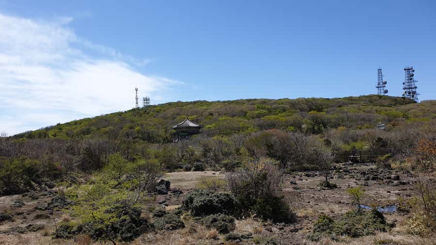 Jeju: Mt. Hallasan Hike and UNESCO Sites Day Tour - Jusangjeollidae (Jusangjeolli Cliff): polygon rocks and open sea views