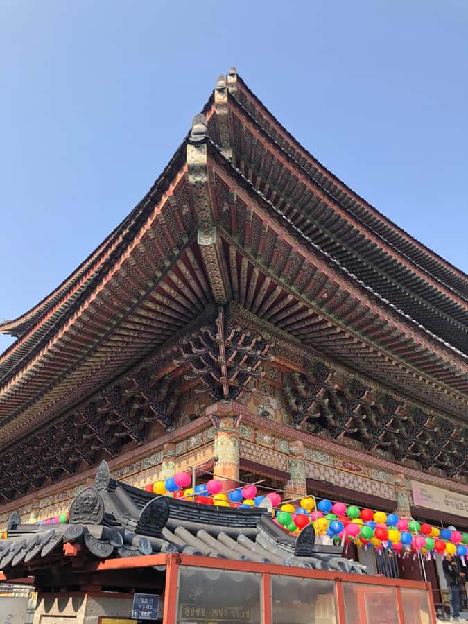 Jeju: Mt. Hallasan Hike and UNESCO Sites Day Tour - I-dre noodles for lunch: fueling your afternoon without derailing the schedule