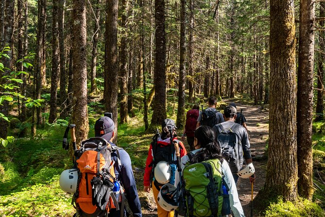 Juneau Shore Excursion: Mendenhall Glacier Guided Hike - Key points before you lace up