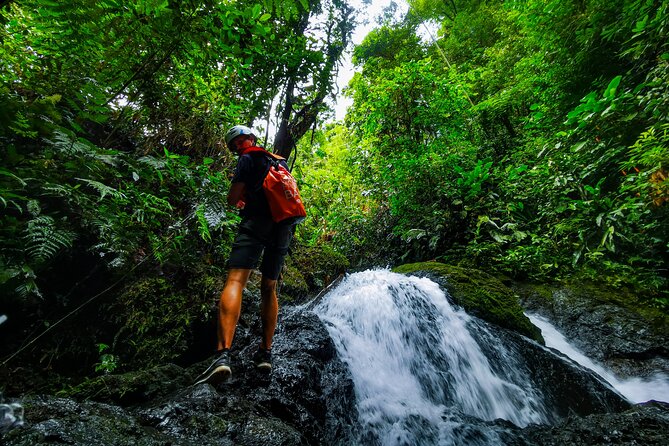 Jungle Hike with Canyoning and Rappelling in Drake Bay - Key highlights you’ll feel in your body