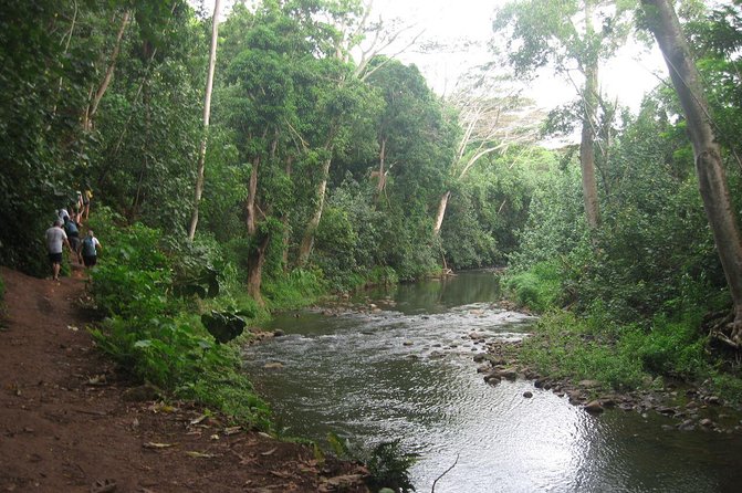 Kauai Adventure: Kayak & Hike to Secret Falls with Expert Guide - Entering Duke’s Kayak Adventures and getting set up fast