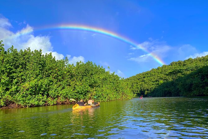 Kauai Adventure: Kayak & Hike to Secret Falls with Expert Guide - The 100-foot Uluwehi Falls stop: swimming and picture time