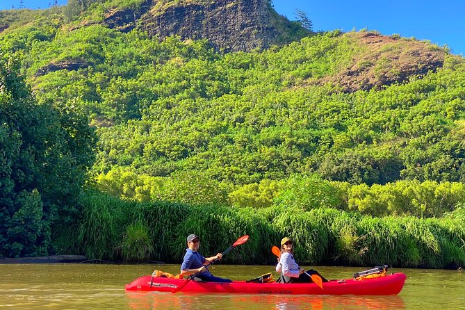 Kauai Adventure: Kayak & Hike to Secret Falls with Expert Guide - Wildlife, Hawaiian stories, and why the guide matters