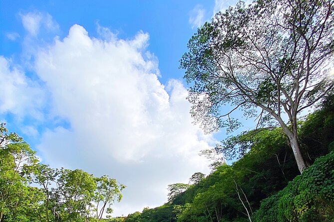 Kauai Adventure: Kayak & Hike to Secret Falls with Expert Guide - Price and value: what $140 covers (and what it doesn’t)