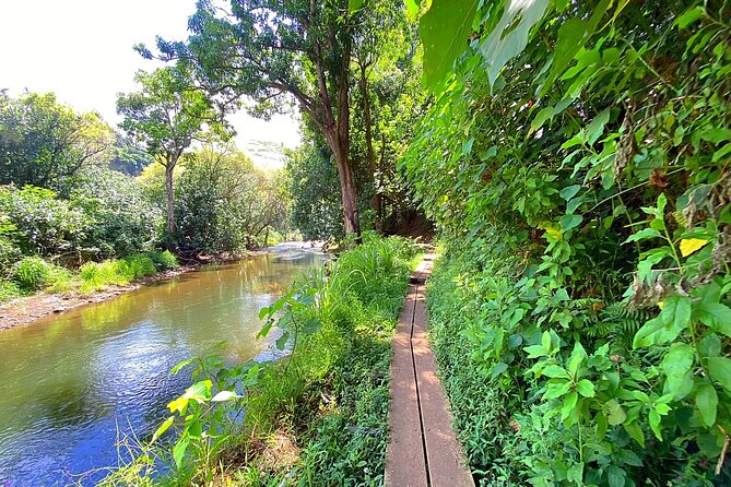 Kauai Adventure: Kayak & Hike to Secret Falls with Expert Guide - What to bring so you’re comfortable the whole way