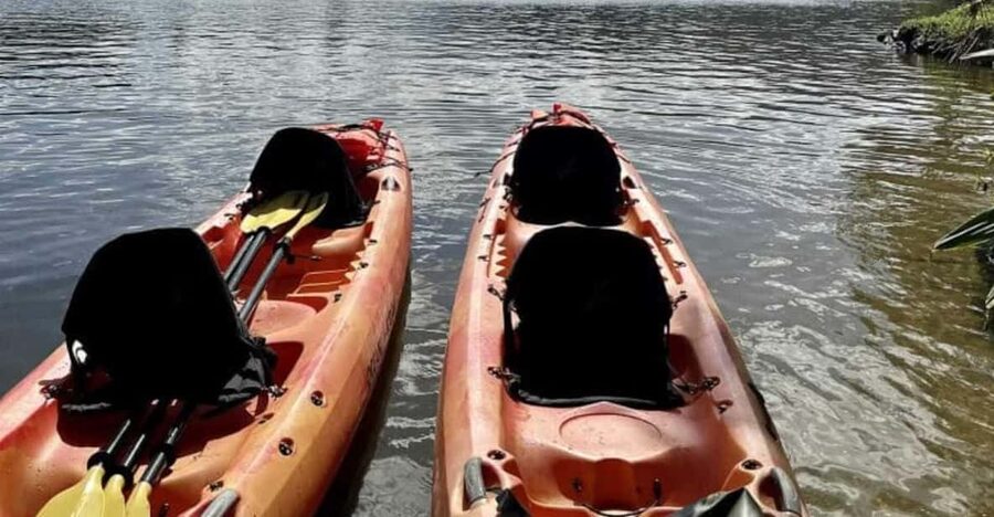 Kauai: Guided Kayak and Hike to Secret Falls - Kayaking The Calm Wailua River Stretch