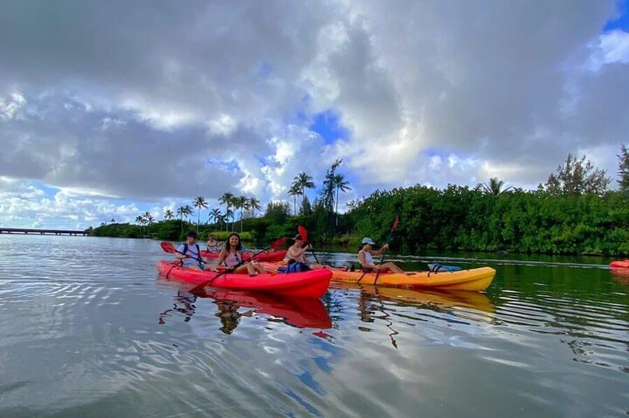 Kauai: Guided Kayak and Hike to Secret Falls - Who Should Book This (and Who Should Skip It)
