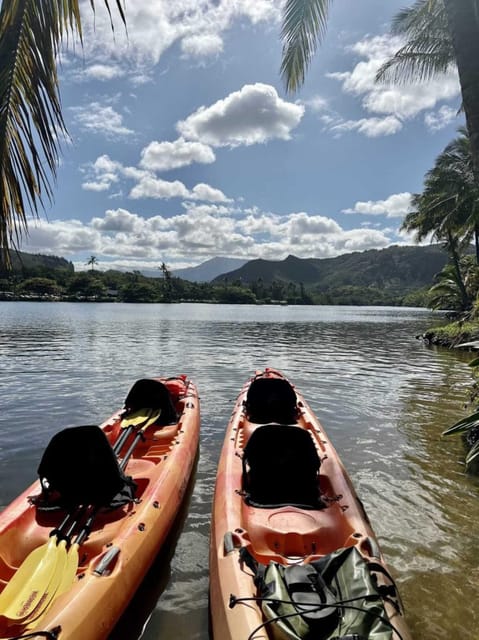 Kauai: Guided Kayak and Hike to Secret Falls - 5 Miles of Paddling: What That Half-Day Actually Feels Like