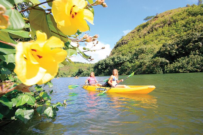 Kauai: Secret Falls Kayak and Hike - Price and value: what $125 gets you on Kauai
