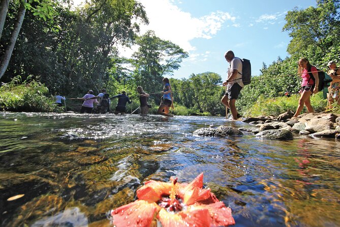 Kauai: Secret Falls Kayak and Hike - Getting on the water: what the kayak portion really demands