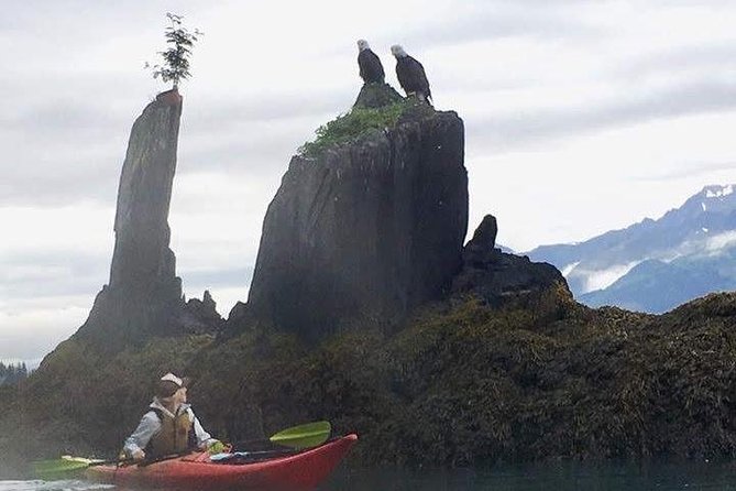 Kayak and Hike to Historic WW2 Army Fort in Alaska! - The Caines Head Paddle (About 5 Miles): Wildlife, Wind, and Focus