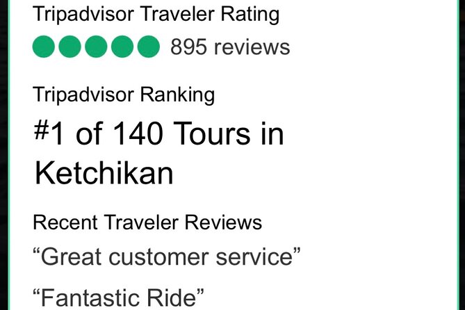 Ketchikan Electric Bike and Rain Forest Hike Ecotour - Electric assist that still feels like biking