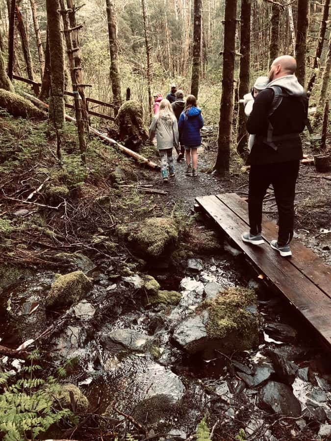 Ketchikan: Tongass Forest Alaska Bigfoot ATV Ride and Hike - From Ketchikan Cruise Docks to the Forest Base Camp