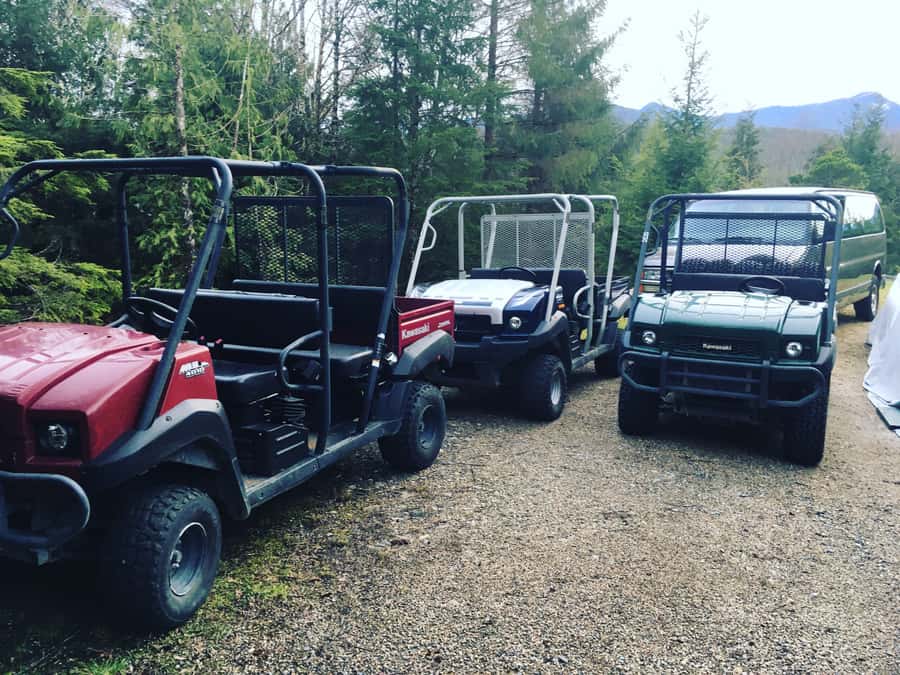 Ketchikan: Tongass Forest Alaska Bigfoot ATV Ride and Hike - The Tongass Rain Forest Hike and Bigfoot Stomping Grounds
