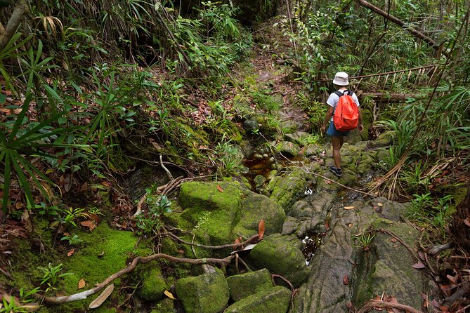 Khao Sok Rainforest | Hiking & Bamboo Rafting - Why this Khao Sok day trip has the right ingredients