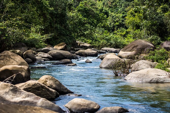 Khao Sok Rainforest | Hiking & Bamboo Rafting - The bamboo-cup jungle coffee and Khao Sok Viewpoint