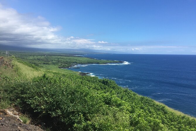 Kilauea Summit to Shore from Kona: Small Group - Hilo lunch at Hilo Sharks Coffee and the Pahoa Red Road drive