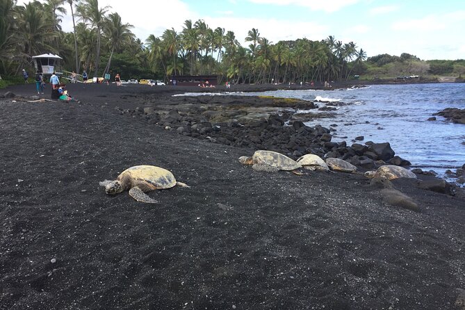 Kilauea Summit to Shore from Kona: Small Group - Guide Scott’s volcano teaching style and how to get more out of it