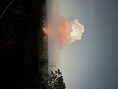 Kilauea: Volcanoes National Park Guided Hike - Meeting at the Kīlauea Visitor Center: Simple Start, No Mystery