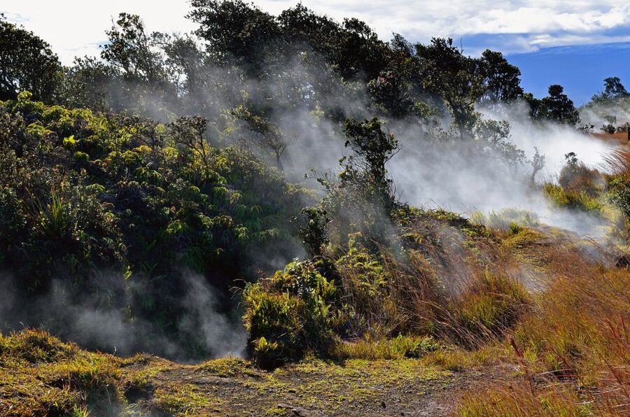 Kilauea: Volcanoes National Park Guided Hike - Comfort details that make the hike easier than you expect
