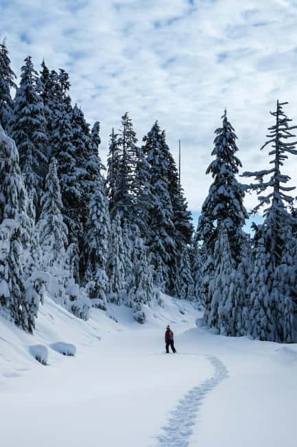 Kiruna: Daytime Snowshoe Hike - Kiruna in daylight: what a 3-hour snowshoe walk is really like