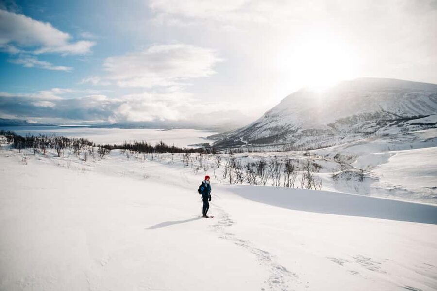 Kiruna: Daytime Snowshoe Hike - Snowshoes first: how the gear changes everything in deep snow