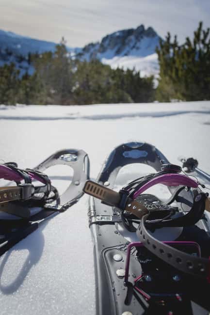 Kiruna: Daytime Snowshoe Hike - Price and value: is $127 for 3 hours in the Arctic fair?