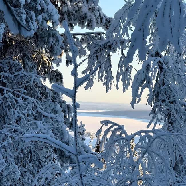 Kiruna: Daytime Snowshoe Hike - Tips so you don’t get cold (even when it’s really cold)