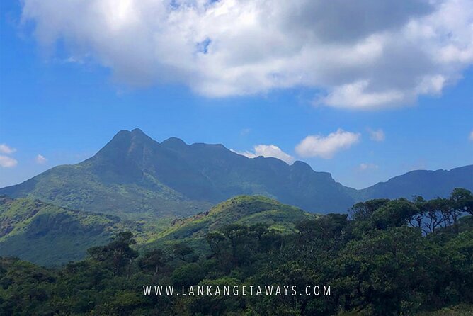 Knuckles Mountain Hiking - Key highlights to know before you lace up