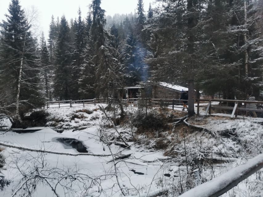 Korouoma Canyon Frozen Waterfalls Hike & Private Teepee BBQ - What Makes This Korouoma Hike + Teepee BBQ Worth Your Day
