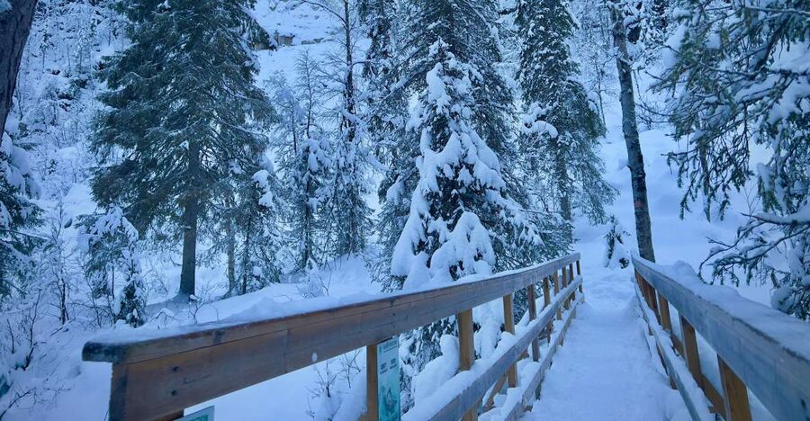 Korouoma: Frozen Waterfall Hiking Tour - Key takeaways before you go