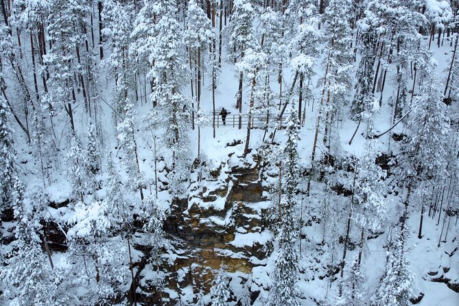 Korouoma Frozen Waterfalls Hiking Tour - Price and value: what $155.77 actually covers