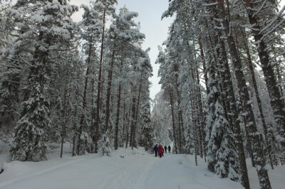 Korouoma national park and frozen waterfalls hiking tour - Meet the Guide: English-Friendly Safety and Small-Group Pace