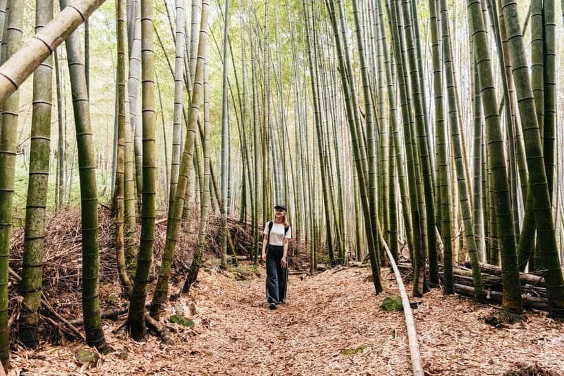 Kyoto: 3-Hour Fushimi Inari Shrine Hidden Hiking Tour - Key things I’d plan for